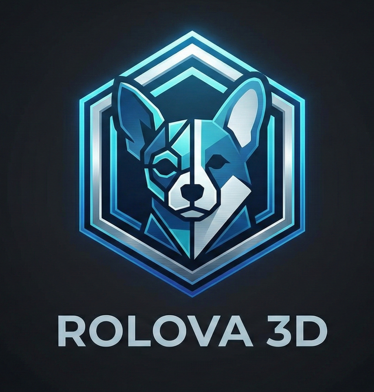 ROLOVA 3D